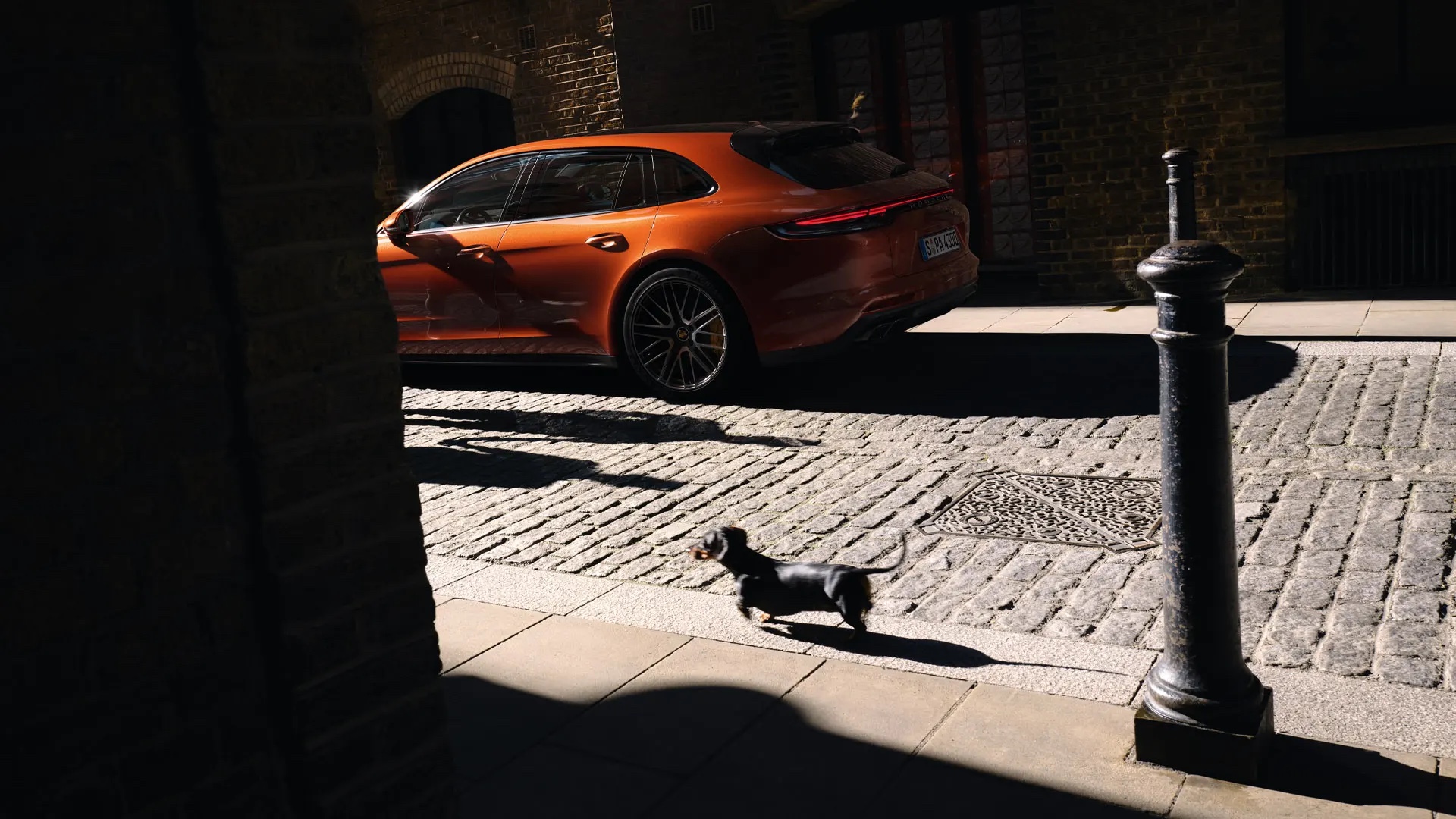 Mäyräkoira Porsche Panameran edessä.